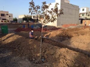 44 Ali Block 10 Marla Bahria Town