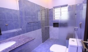 580 Shaheen 10 Marla Bahria Town Lahore